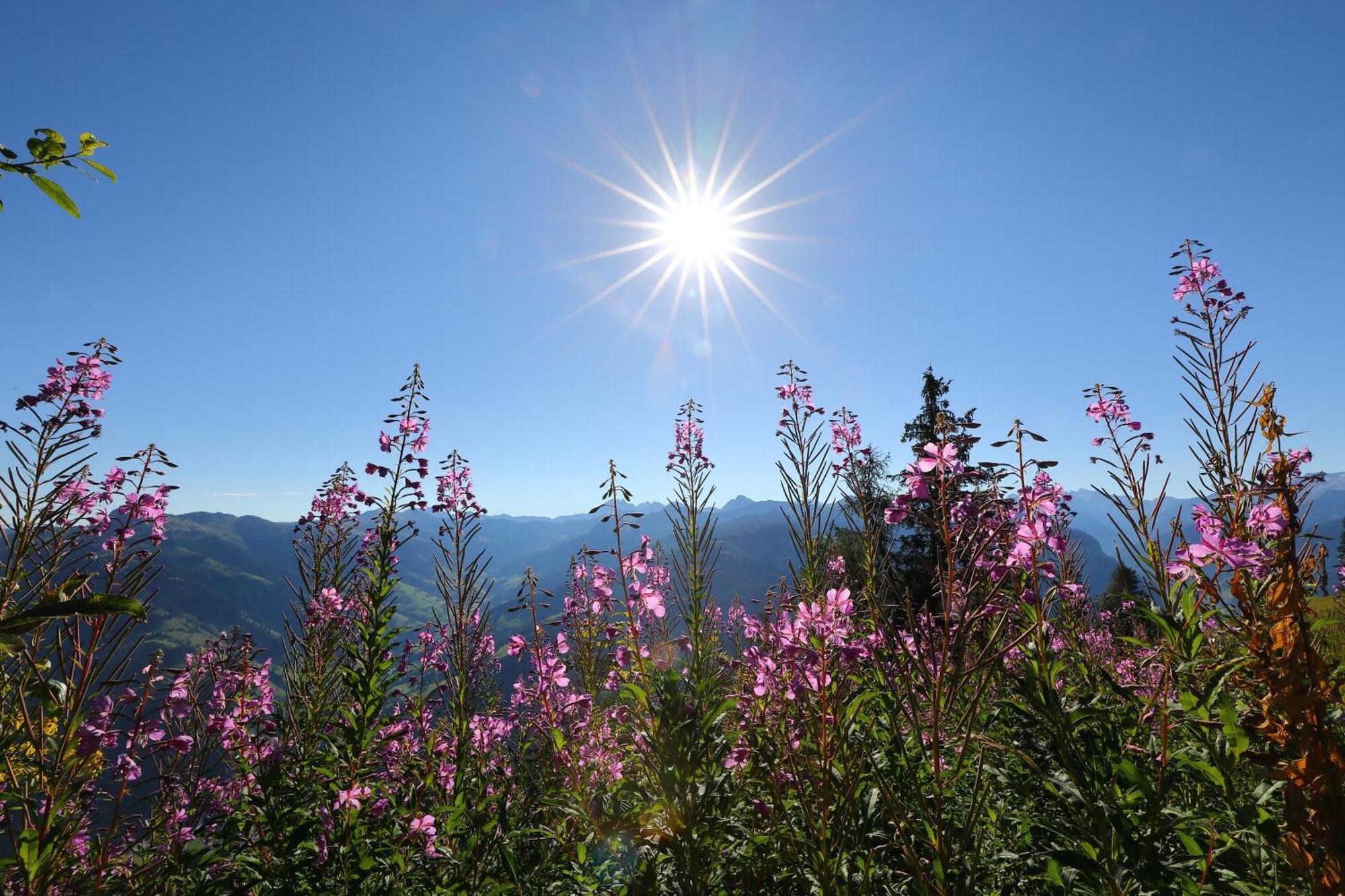 Wallnerhof กรอสซาร์ล ภายนอก รูปภาพ